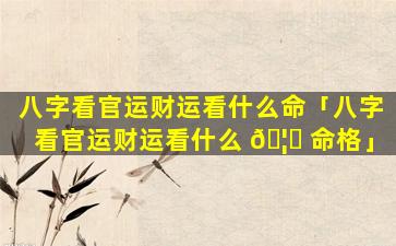 八字看官运财运看什么命「八字看官运财运看什么 🦍 命格」